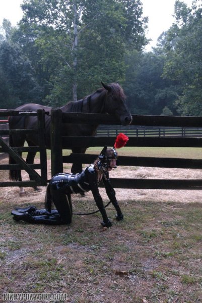 ponygirlbarn2075.jpg